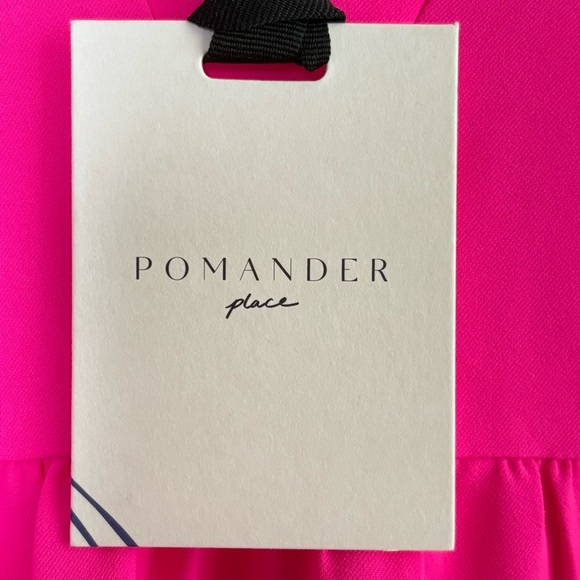 POMANDER PLACE Tuckernuck Electric Pink Crepe Kenzo Dress Ruffle Tiered M - Picture 8 of 17